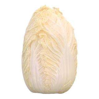 Food Chinese Cabbage Retopo 3D Scan